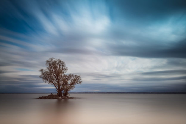 Rheinspitz_2014_05_24_0007